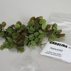 Salvinia Living Unit 50 100