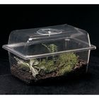 Woodland Terrarium