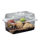 Sandhill Terrarium