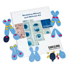 Modeling Mitosis And Meiosis Kit