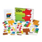 Original DNA Puzzle Kit