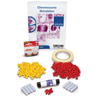 Chromosome Simulation 10 Station Kit