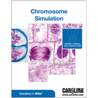 Chromosome Simulation Digital Resources