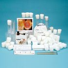 Carolina&reg; Large Drosophila Culture Kit