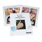 Carolina BioKits&reg;: Human Genetic Traits