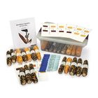 Mendelian Genetics of Corn Kit