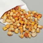 Dwarf Genetic Corn Seed Pack Of 50