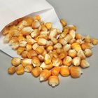Genetic Corn Seed, Tall:Dwarf 1:1, Pack 100