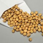 Soybean Seed, Green:Yellow Green:Yellow (1:2:1), Pack 100