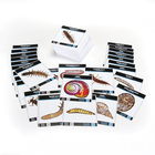 Carolina&reg; Aquatic Macroinvertebrate Card Set