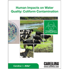 Human Impacts On Water Quality Digital Resources