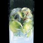 Murashige African Violet/Gloxinia Plant Tissue Culture