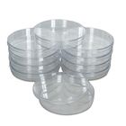 Petri Dish, Sterile, Deep and Wide (150 x 25 mm), Pack of 12