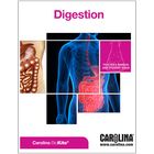Carolina BioKits&reg;: Digestion Voucher