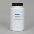 Alpha Amylase Granules 100 G