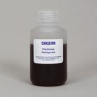 Pectinase 100 Ml