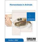 Homestasis In Animals Digital Resources