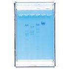 Exploring Restriction Analysis and Electrophoresis of DNA Kit