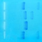 Exploring Electrophoresis and Forensics Bulk DNA