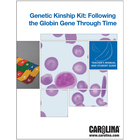 Genetic Kinship: Following the Globin Genes Through Time Digital Resources