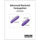 Advanced Bacterial Conjugation Digital Resources