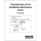 Transduction Of An Antibiotic Resistance Gene Digital Resources