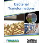 Bacterial Transformations Digital Resources