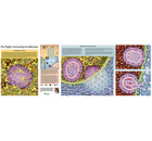 Flu Fight: Immunity & Infection&copy; Panorama Cellular Landscape Poster