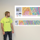 Tour of a Human Cell&copy; Grand Panorama&copy; Cellular Landscape Poster