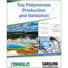 Taq Polymerase Production and Validation Digital Resources