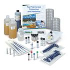 Taq Polymerase Production and Validation Kit