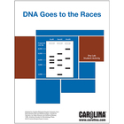 Restriction Enzymes and DNA Digital Resources