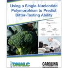 Using A Single Nucleotide Polymorphism Snp To Predict Bitter Tasting Ability Digital Resources