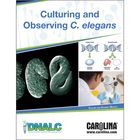 DNALC Culturing and Observing C. elegans Digital Resources