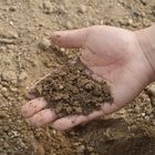 eDNA: Sampling Soil for Antibiotic Resistance Kit