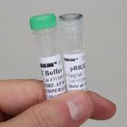 pBR322 Plasmid 10 &micro;g (100 &micro;L; 0.1 &micro;g/&micro;L)