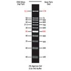 Molecular Weight Marker, 100 bp
