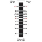 Molecular Weight Marker 100 Bp