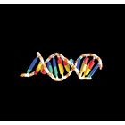 PlayDNA!&trade; Model Kits