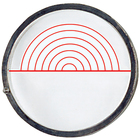 Henry/Battley Classification Disc