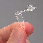 Microcentrifuge Tube 02 Ml Polypropylene Pack Of 1000