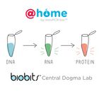 BioBits&reg; @home: Central Dogma, Remote Learning 