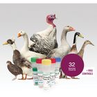 ZeeWee™ III Fowl DNA Sex Test, 32 Tests | Carolina Biological Supply