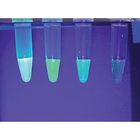 BioBuilder&reg; Guiding Light: Measuring and Analyzing Fluorescence Kit