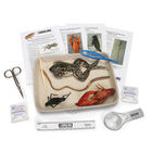 Animal Dissection Digital Resources