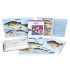 Perch Dissection BioKit&reg;