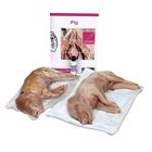 Pig Dissection BioKit&reg;