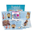 Squid Dissection BioKit&reg;