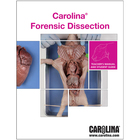 Forensic Dissection Digital Resources