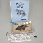 Frog Anatomy Kit With Dissecting Set Carolina Com